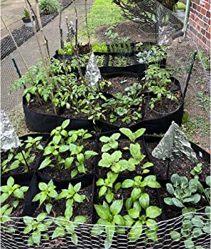 All things Gardening cover photo collage