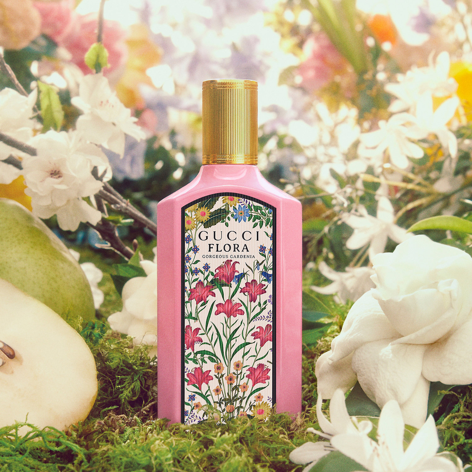Captivating Perfumes for Every Occasion cover photo collage