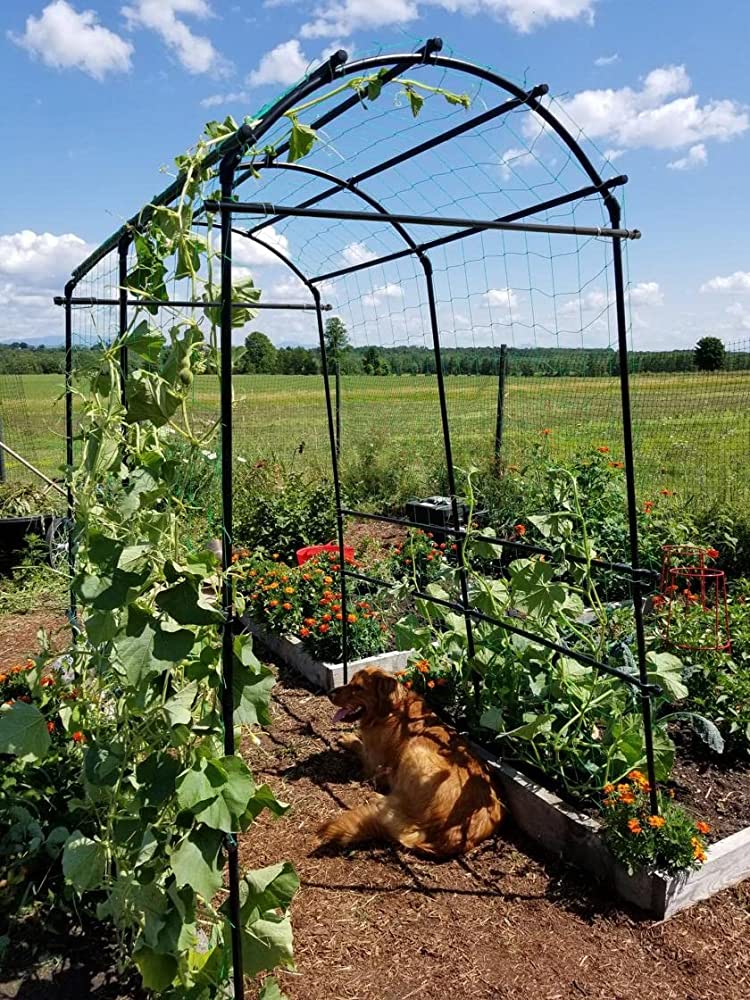 Organic Gardening👩🏻‍🌾🌱 cover photo collage