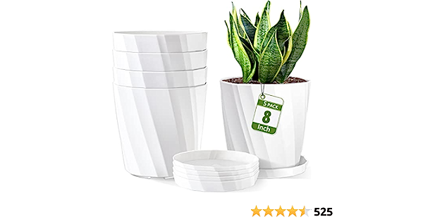 Indoor Plant Supplies cover photo collage