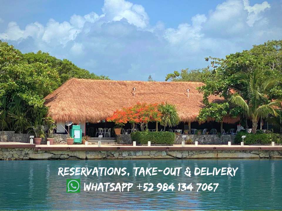 Puerto Aventuras, Mexico - Stay, Play, Eat, Explore!! cover photo collage