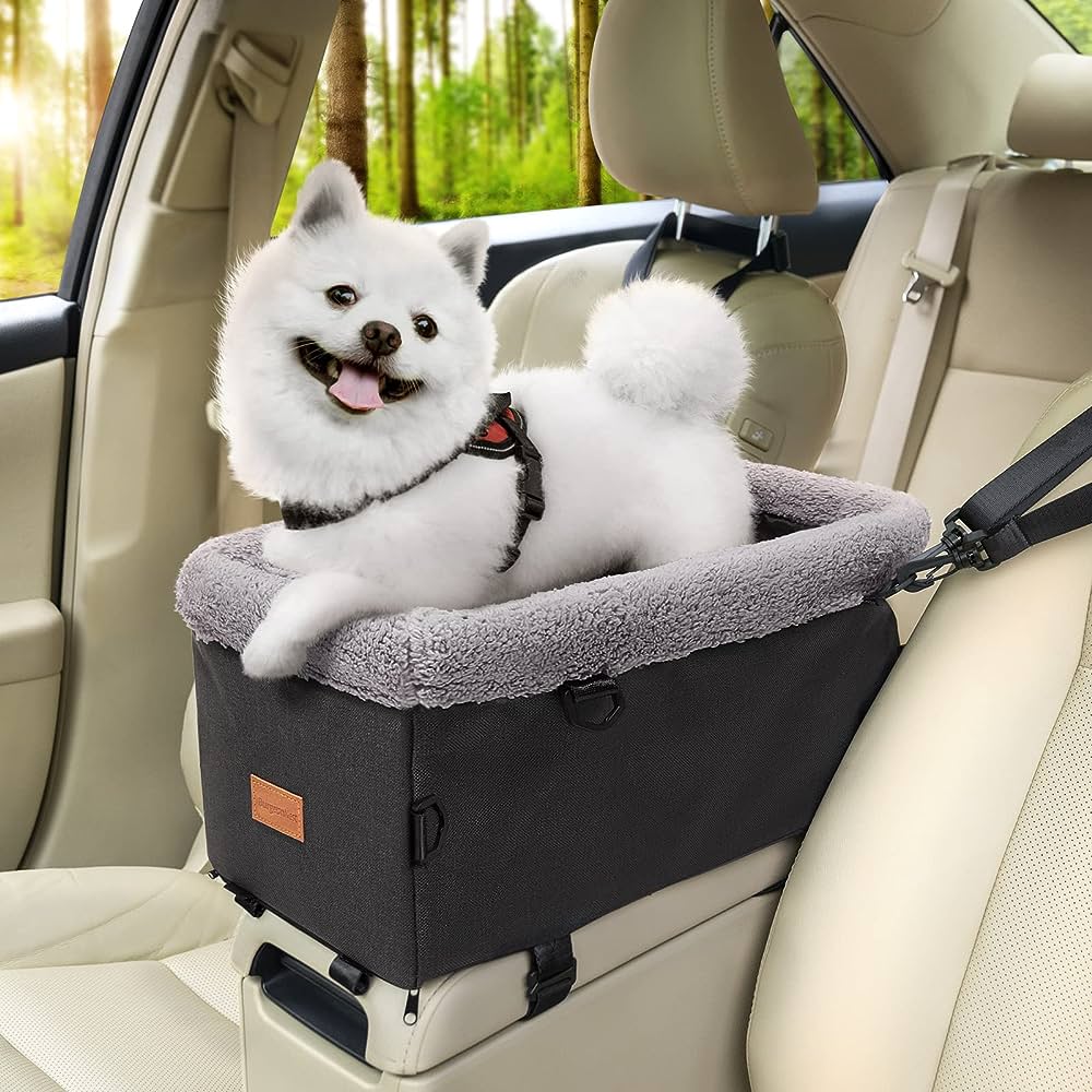 Dog Parent Must Haves cover photo collage