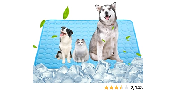 Dog owner essentials! 🐶 cover photo collage