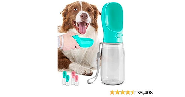 Want to take your pet or dog to the beach? Best beach items for your dog. For dog approved beaches only of course! cover photo collage