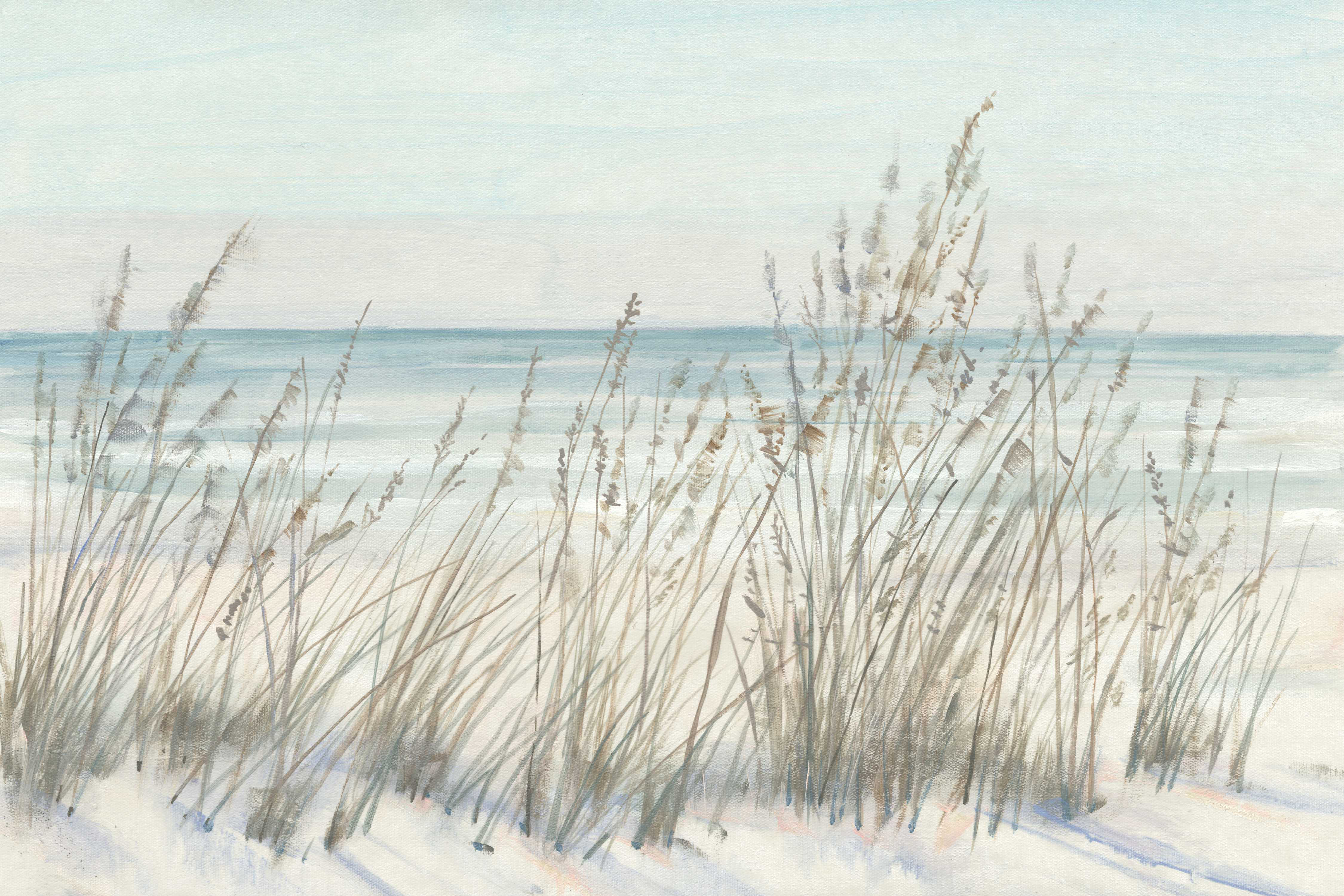 Coastal and Modern curated by Joy and Haven cover photo collage