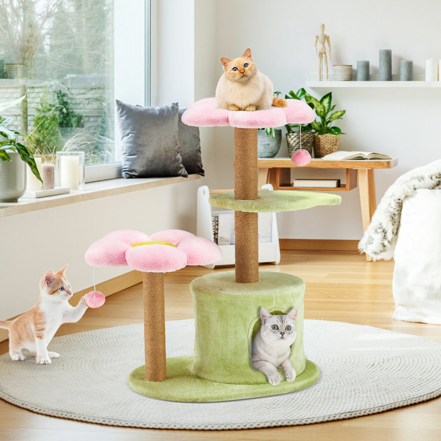 My personal favorite cat products - for new cat owners! cover photo collage