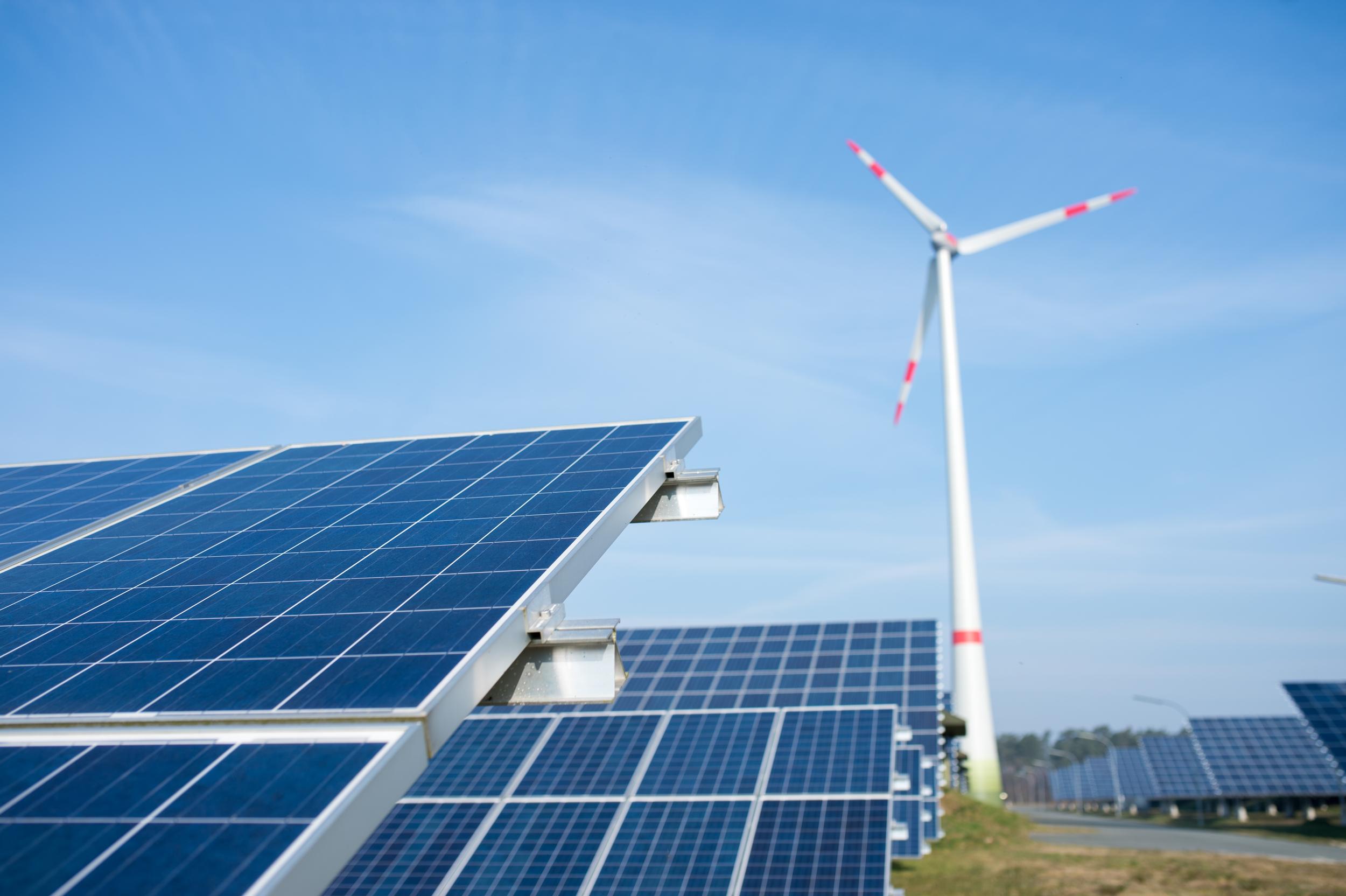 Eco-Friendly Habits for a Greener Daily Routine cover photo collage