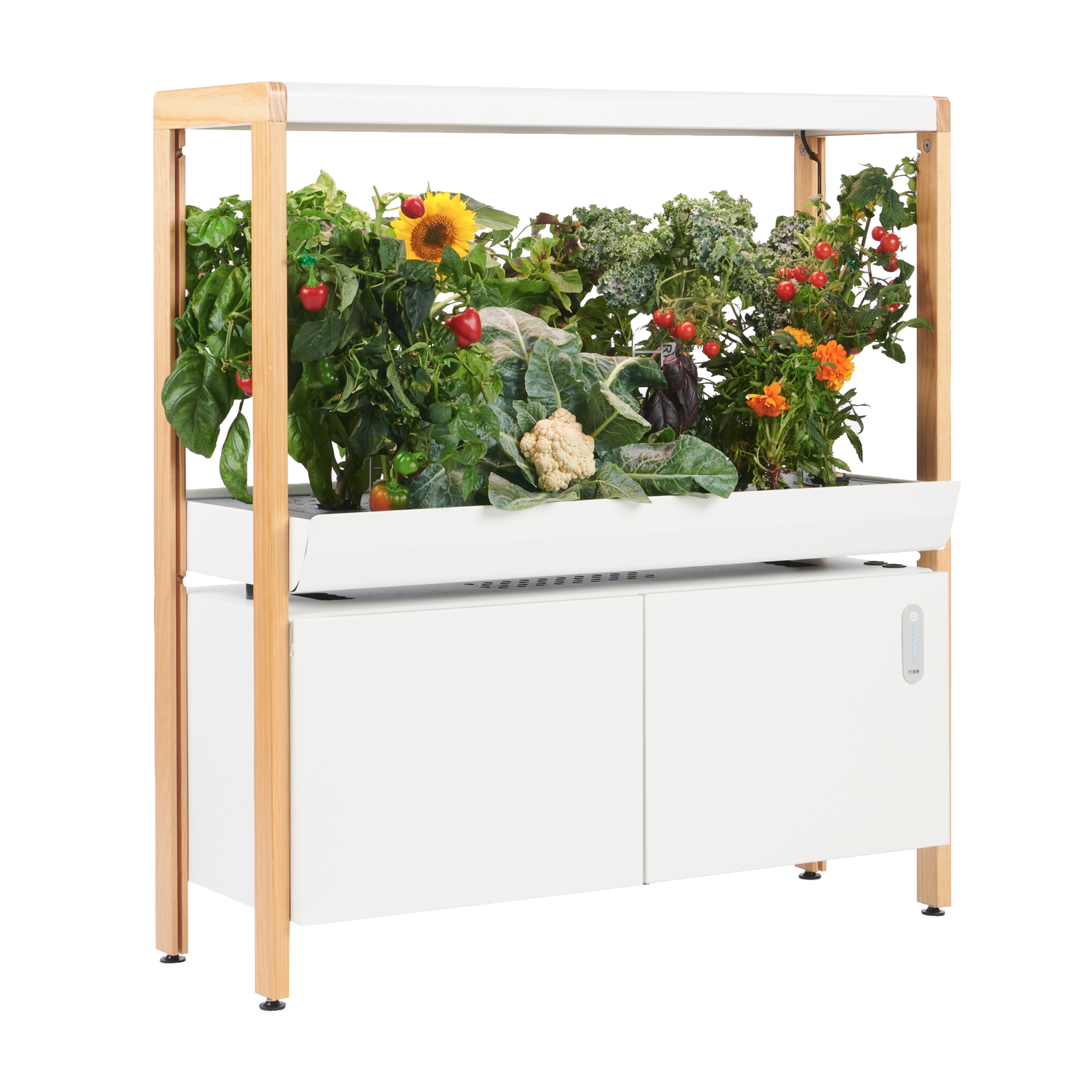 Grow Food Without Soil: Hydroponic Supplies Guide cover photo collage