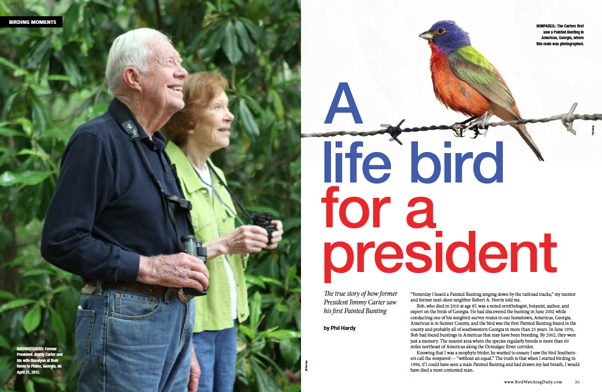 Discovering the Joys of Bird Watching: Essential Tips cover photo collage