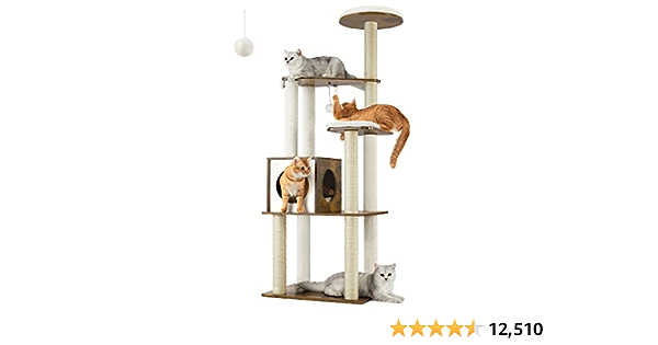 Favorites for our Cats! cover photo collage