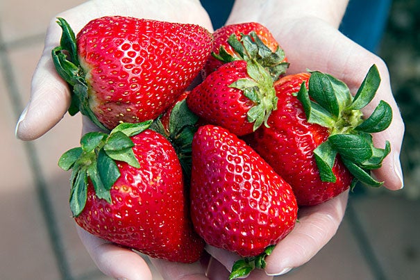 Nutrients Essential for Hair and Nail Health cover photo collage