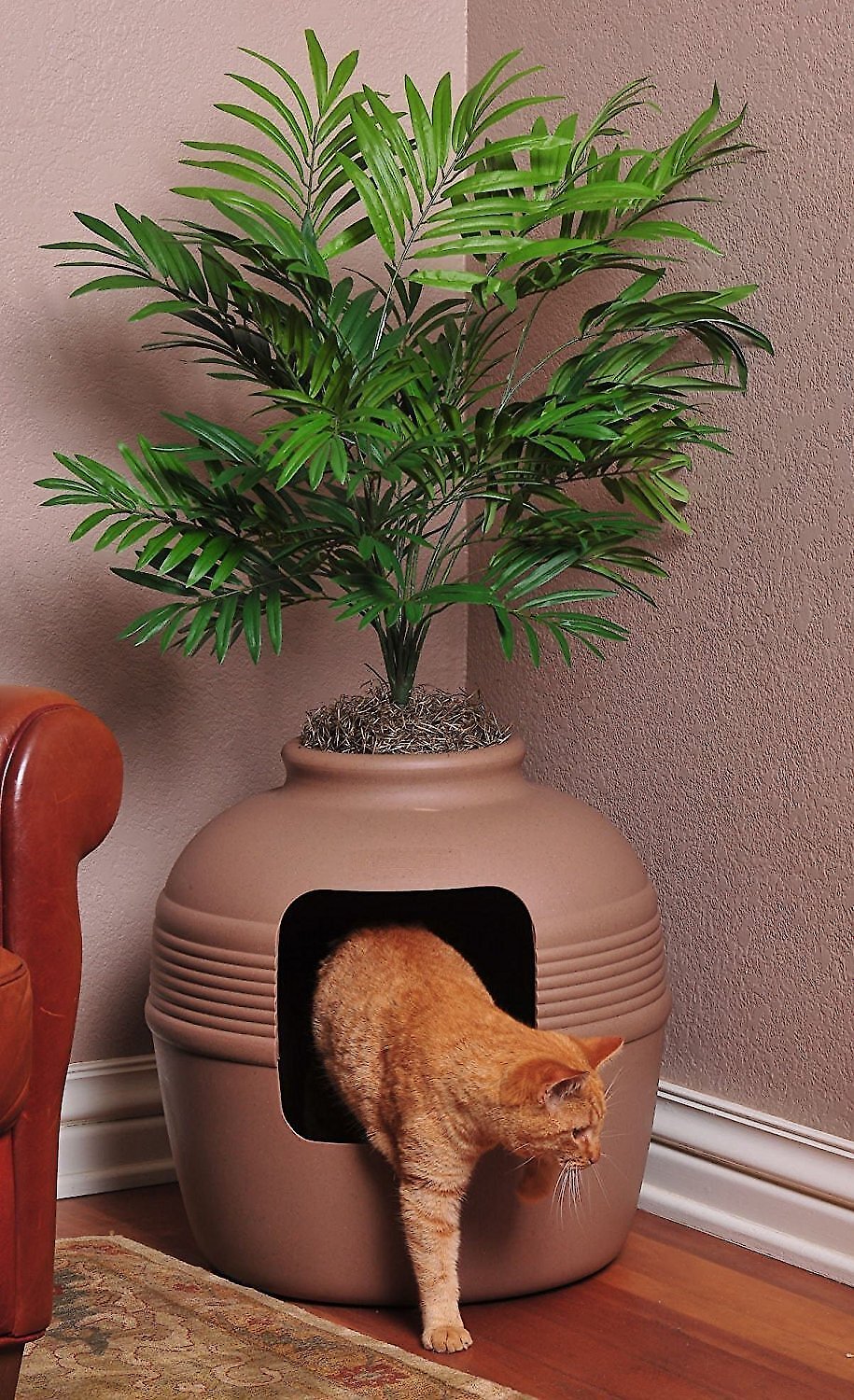 Cat Parent Must Haves cover photo collage