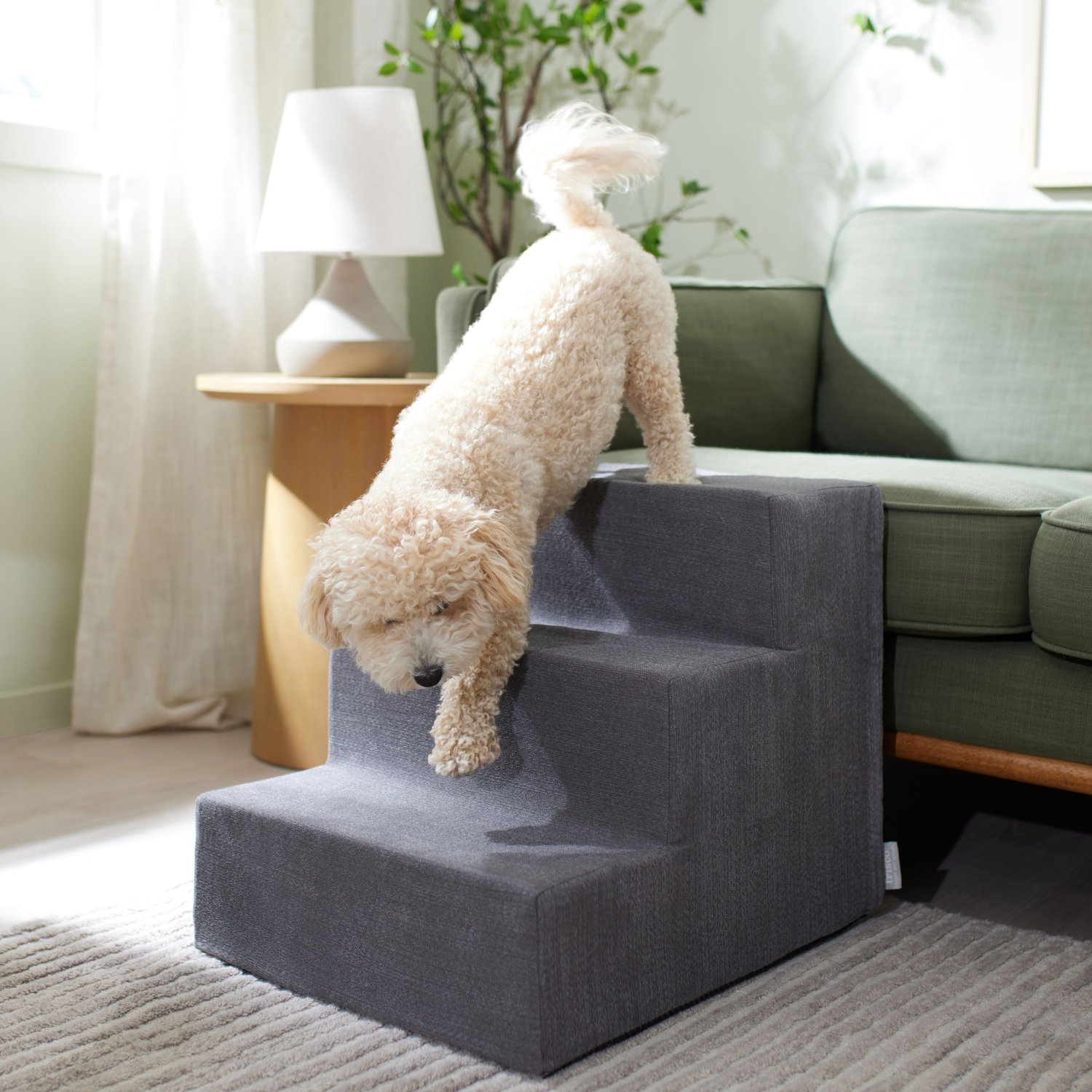 Must Haves for Small Dogs cover photo collage