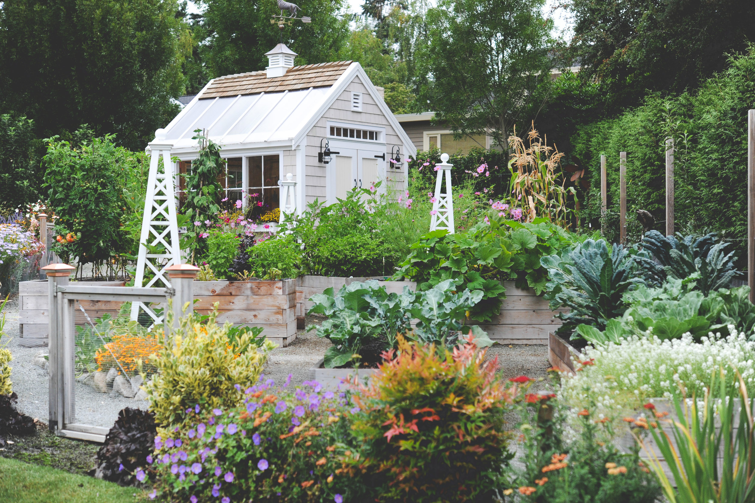 Beginner's Guide to Urban Gardening and Greening Spaces cover photo collage