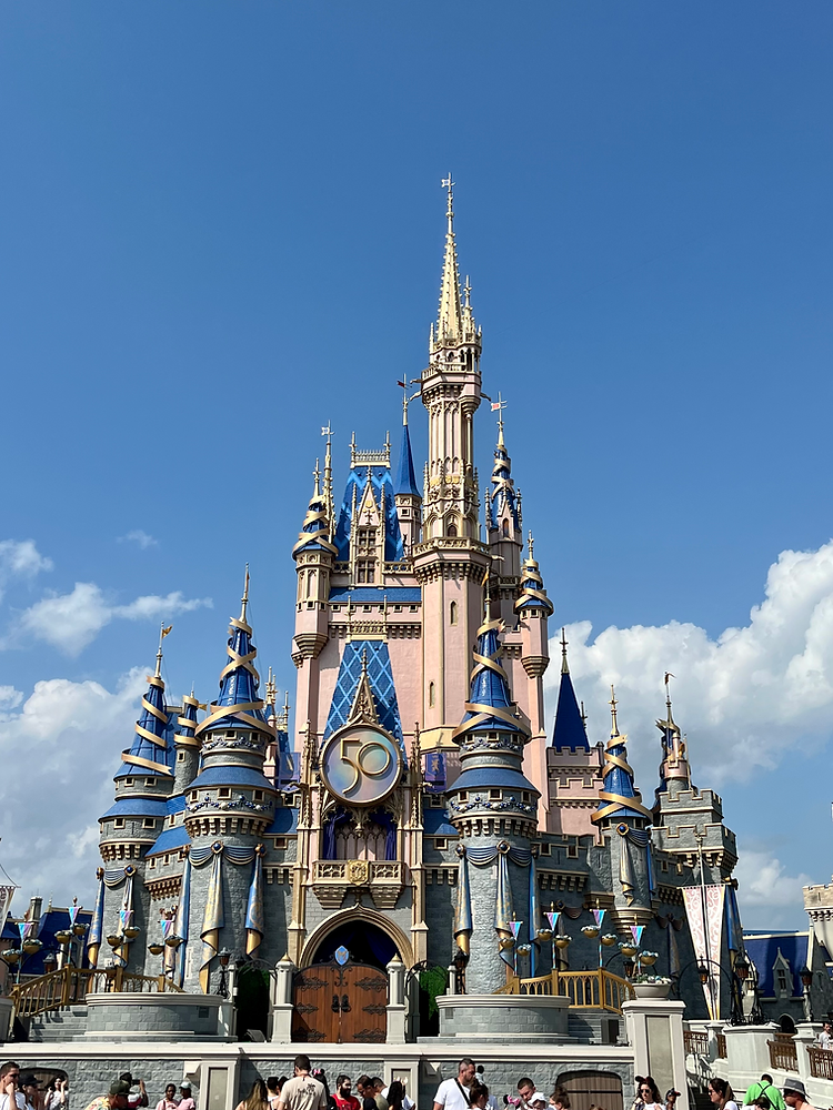 Disney Must-Haves cover photo collage