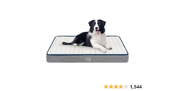 Furry Friend Favorites: The Ultimate List of Dog Products I Swear By cover photo collage