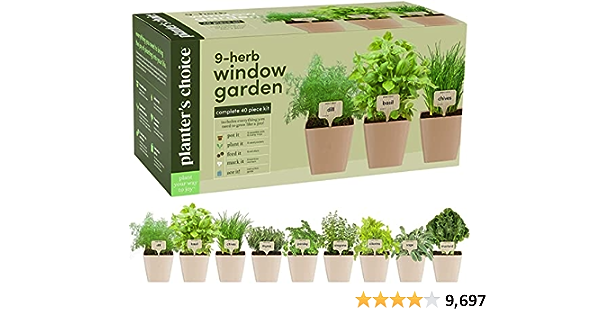 beginner plant parent essentials 🪴 cover photo collage