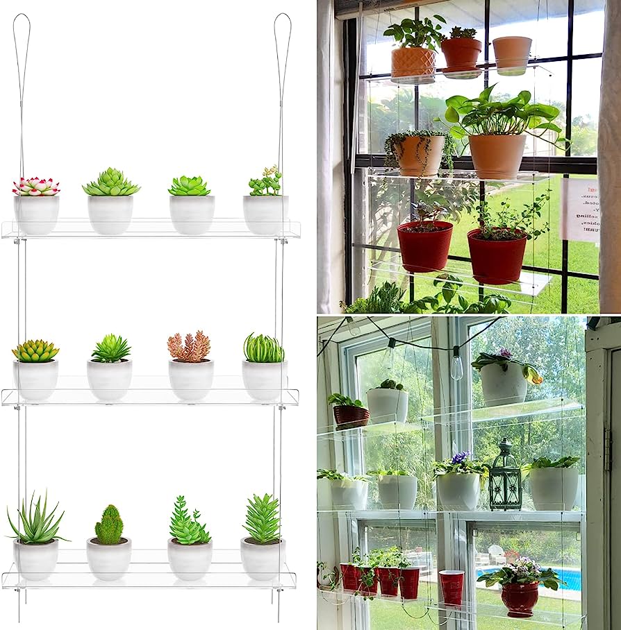 Indoor plant obsession  🪴🌵 cover photo collage