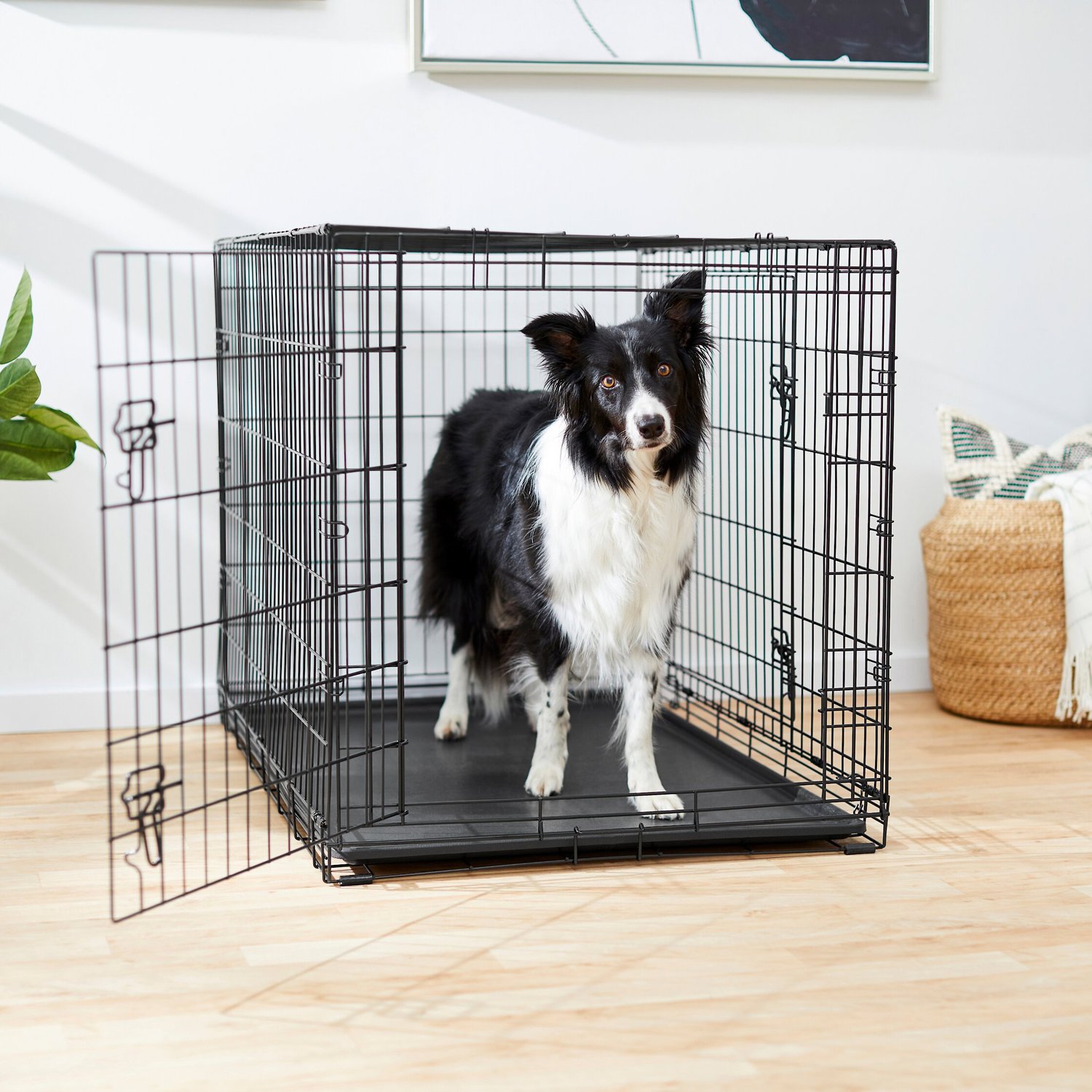 Your dog deserves the best cover photo collage