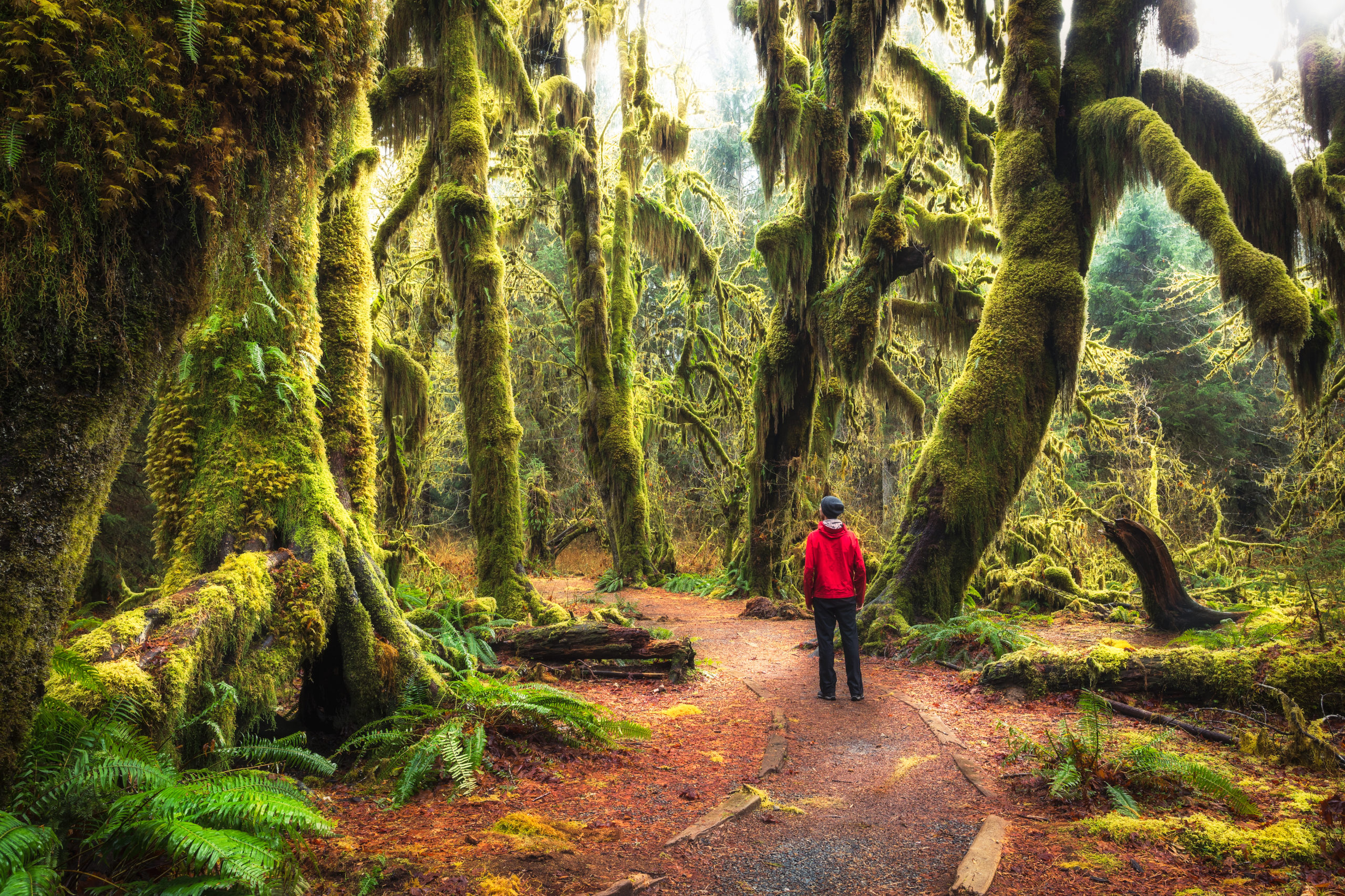 The Best of Washington State cover photo collage
