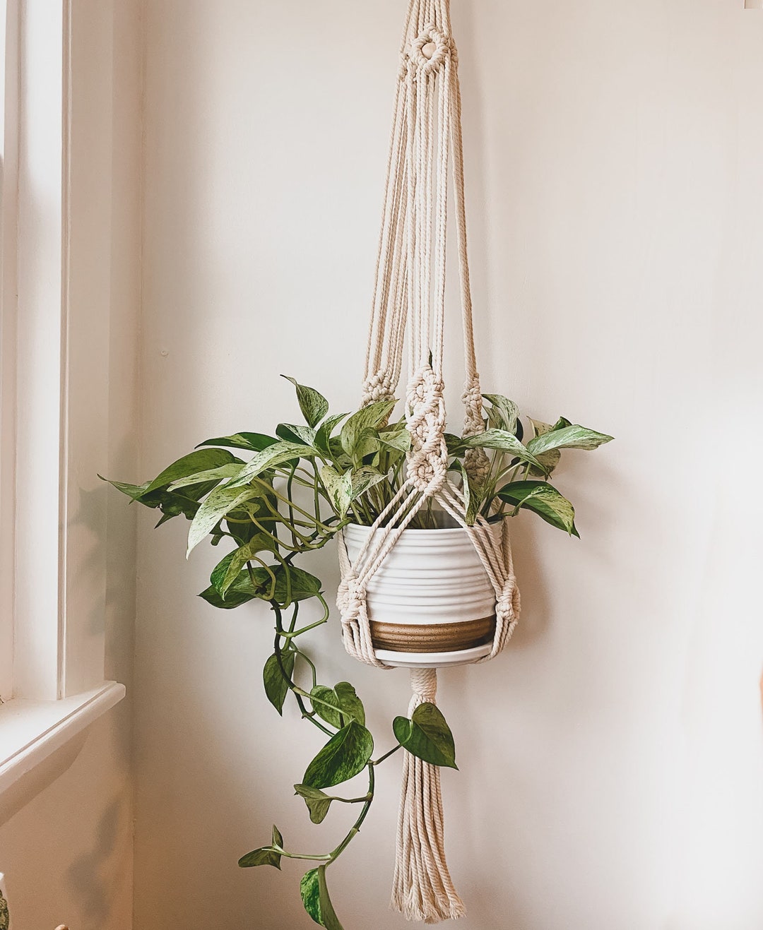 Hanging in Style: Must-Have Hangers and Shelves for Indoor Plants cover photo collage