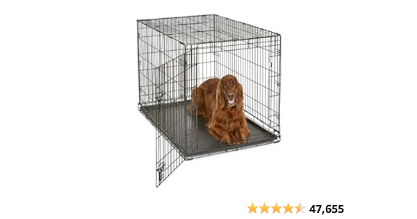 Essentials for my first babies AKA dogs cover photo collage