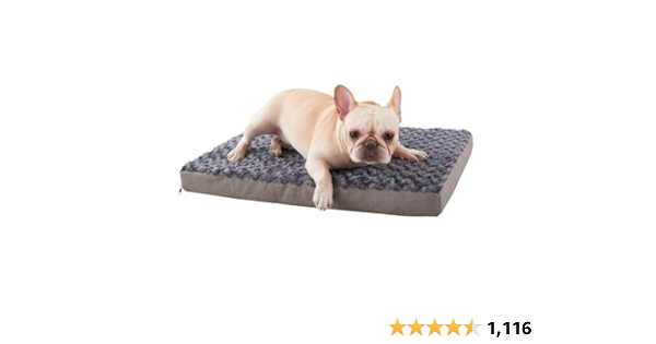 Pet Faves- New Puppies/ Dog Necessities/ Senior Dogs for Pet Care cover photo collage