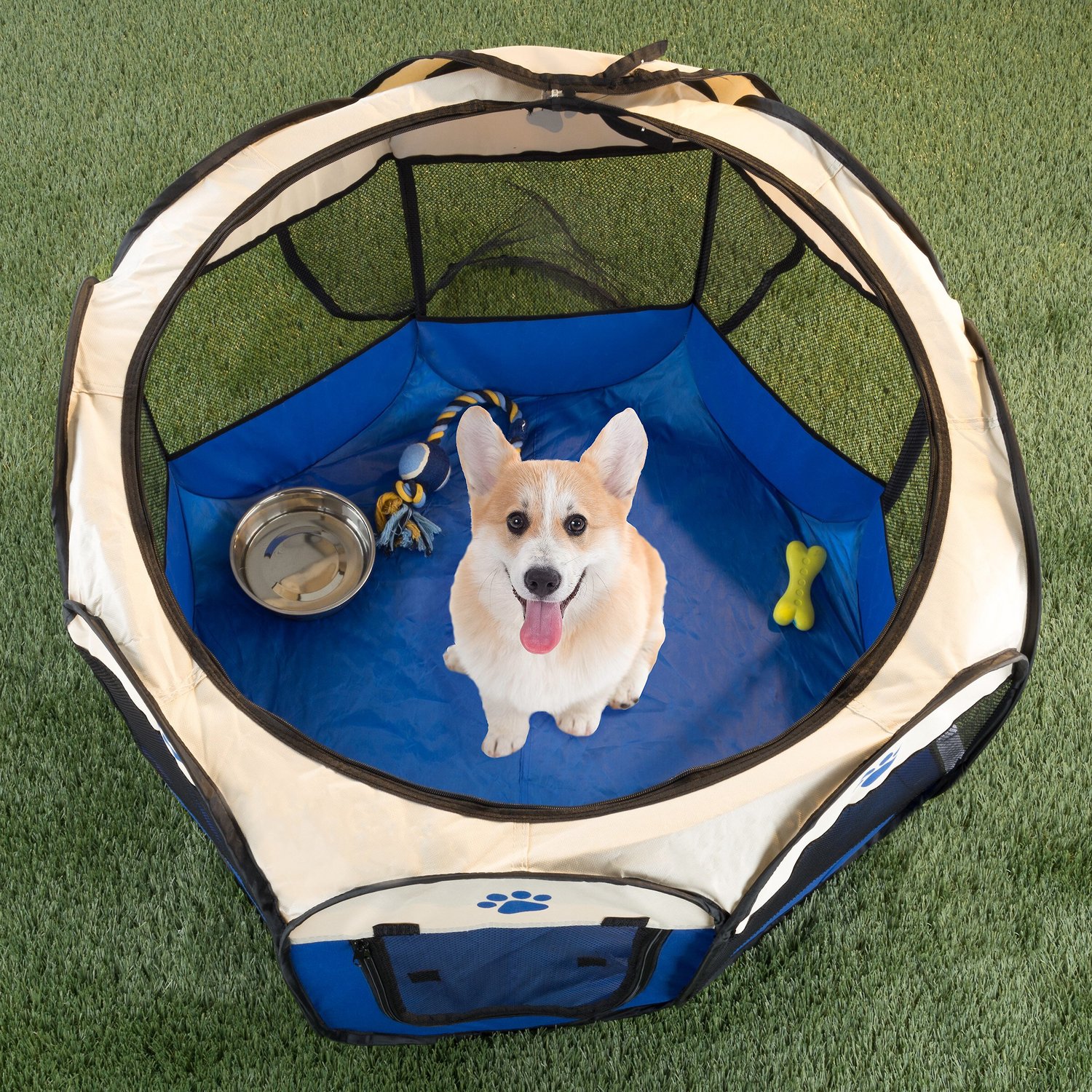 Pampering Your Fur Babies: Must-Have Pet Supplies cover photo collage