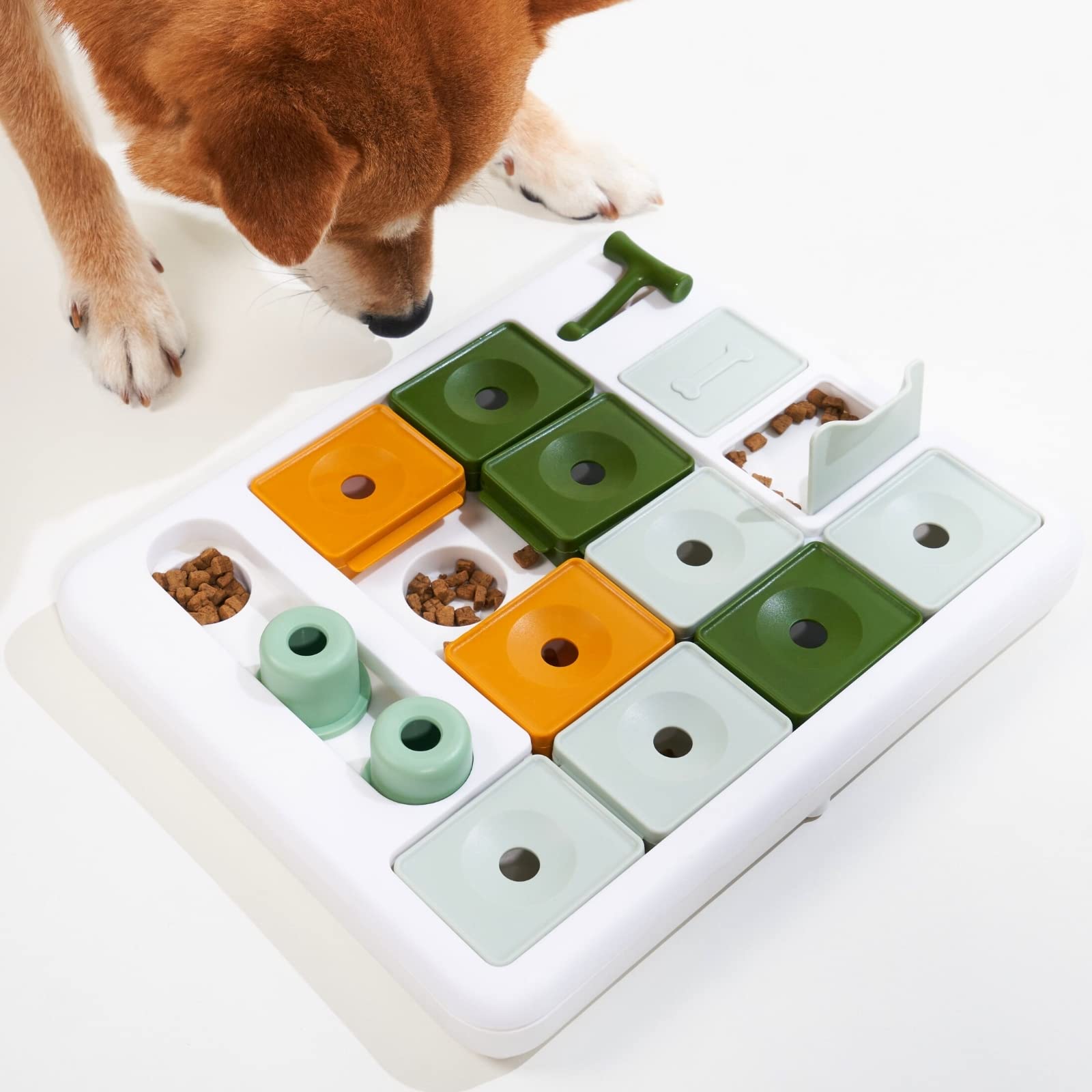 Smart Toys for Smart Dogs cover photo collage