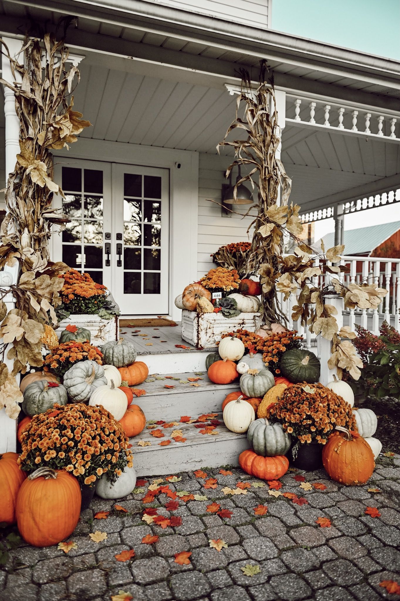 Autumn Favorites cover photo collage