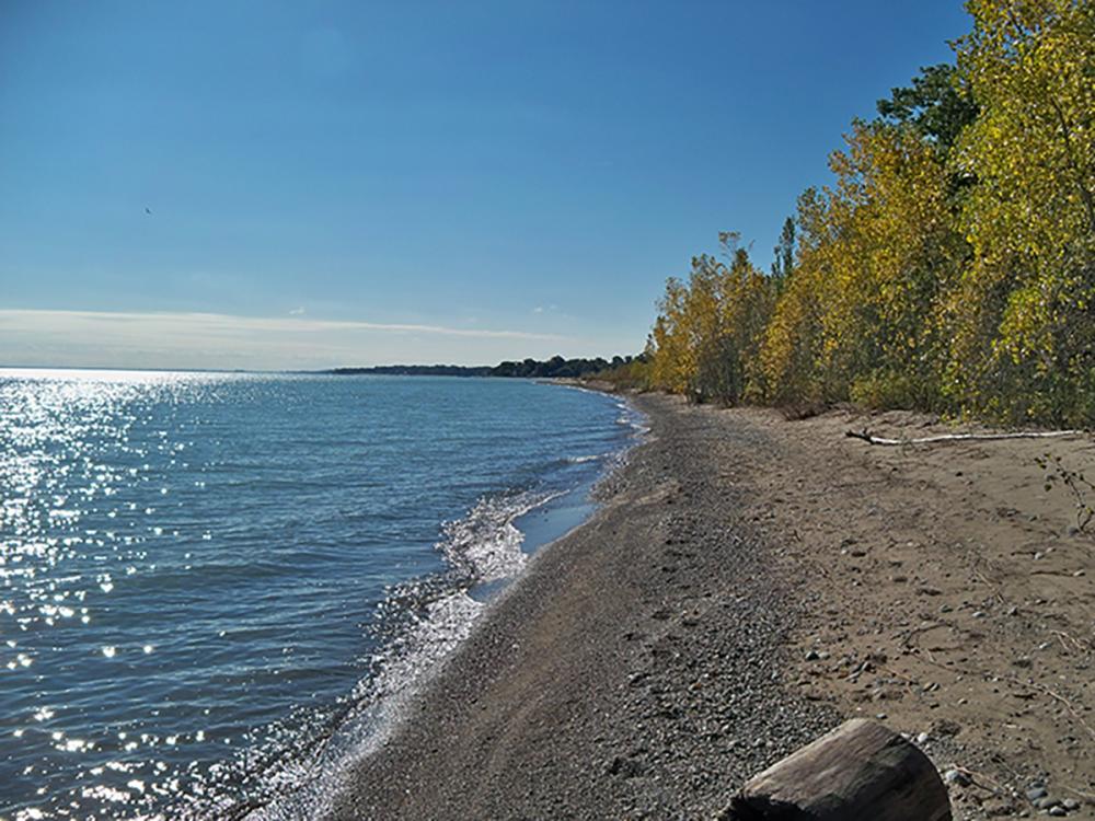 Great Lakes Rock Hunting cover photo collage