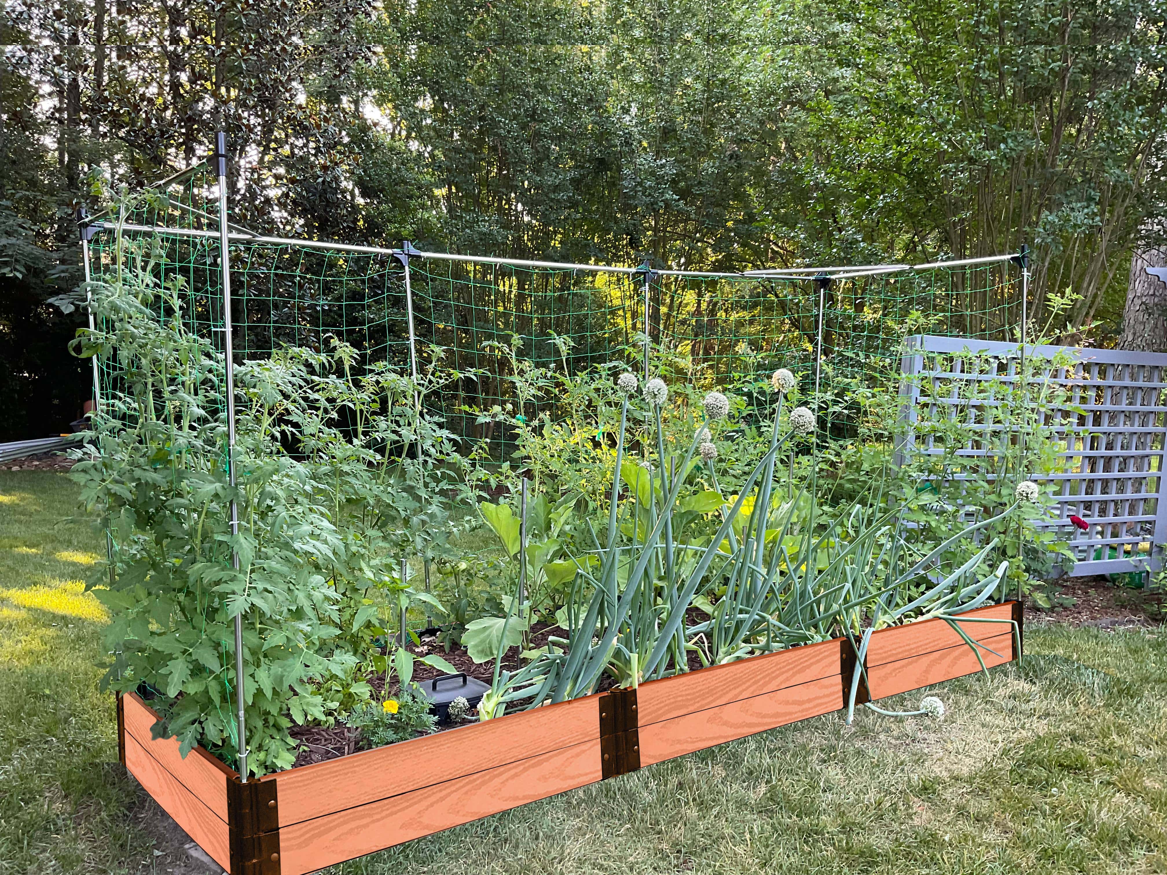 Gardening & Yard Maintenance - Getting Your Hands Dirty! cover photo collage