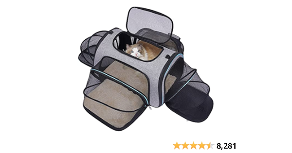 Must-haves For Cat Owners And Their Cats. Happy & Healthier cover photo collage