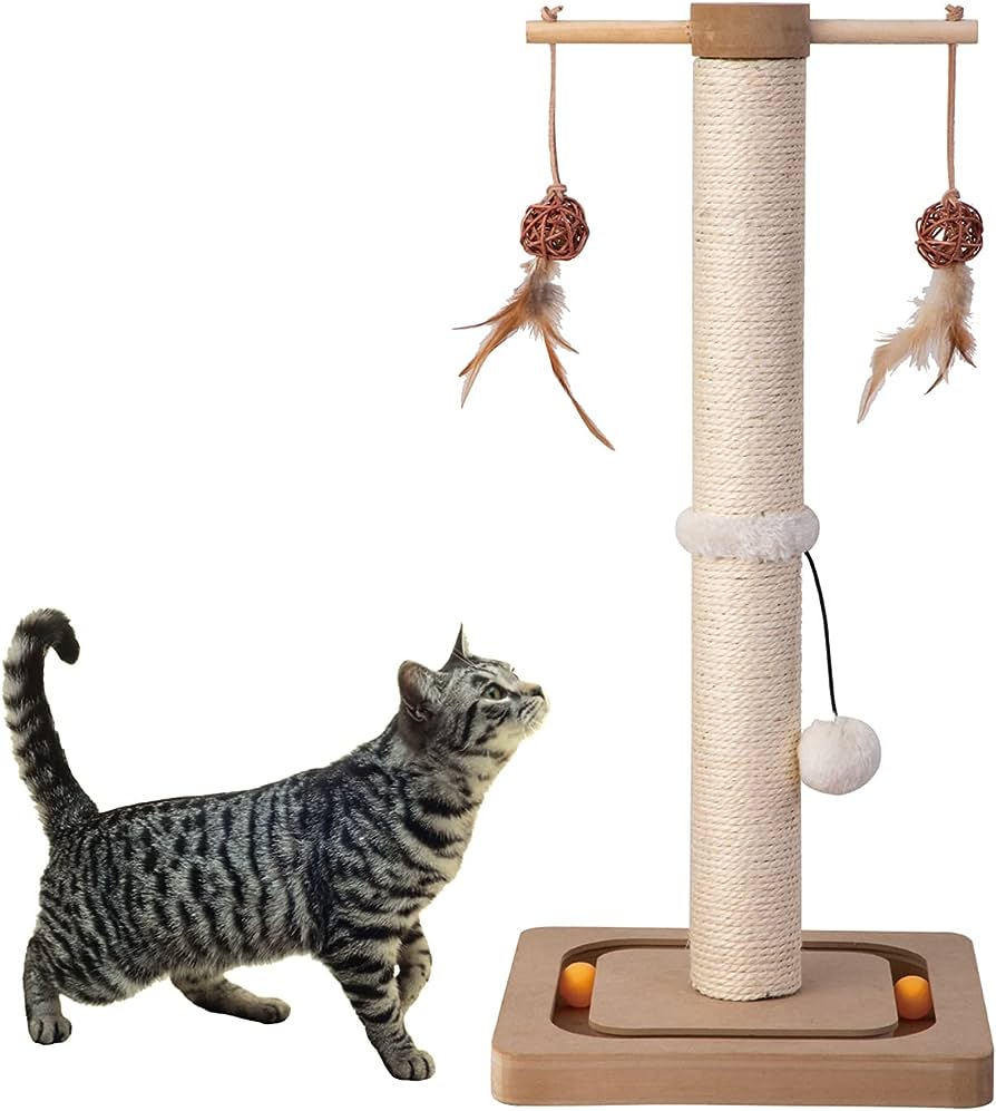 Purr-fect Items You'll Want to Spoil Your Cat With cover photo collage