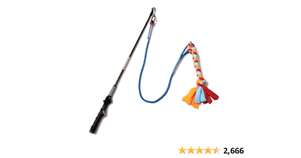 Fun Dog Training Gadgets That Help! cover photo collage