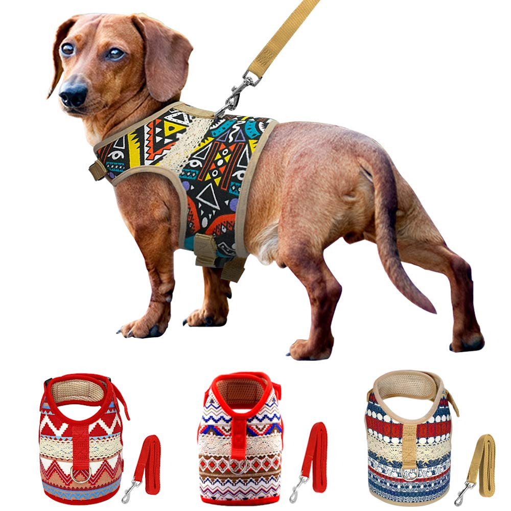 Dachshund Collar, Harness and Leash cover photo collage