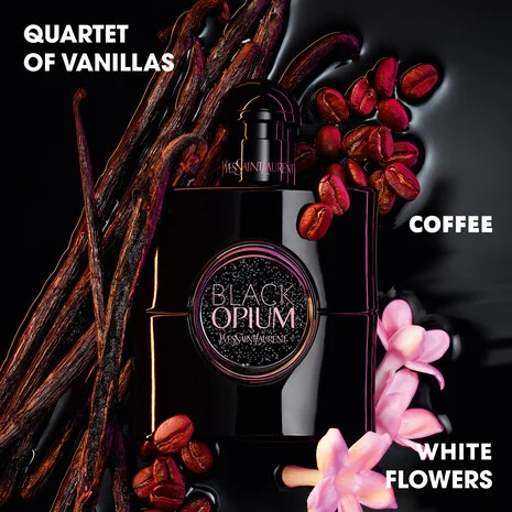 favorite Perfumes cover photo collage