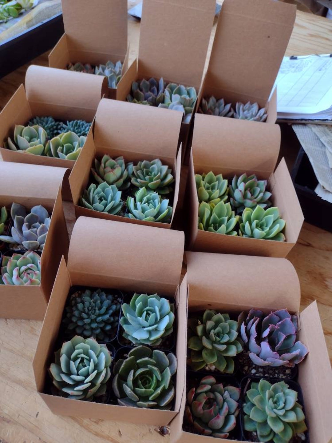 college dorm room NEEDS cover photo collage