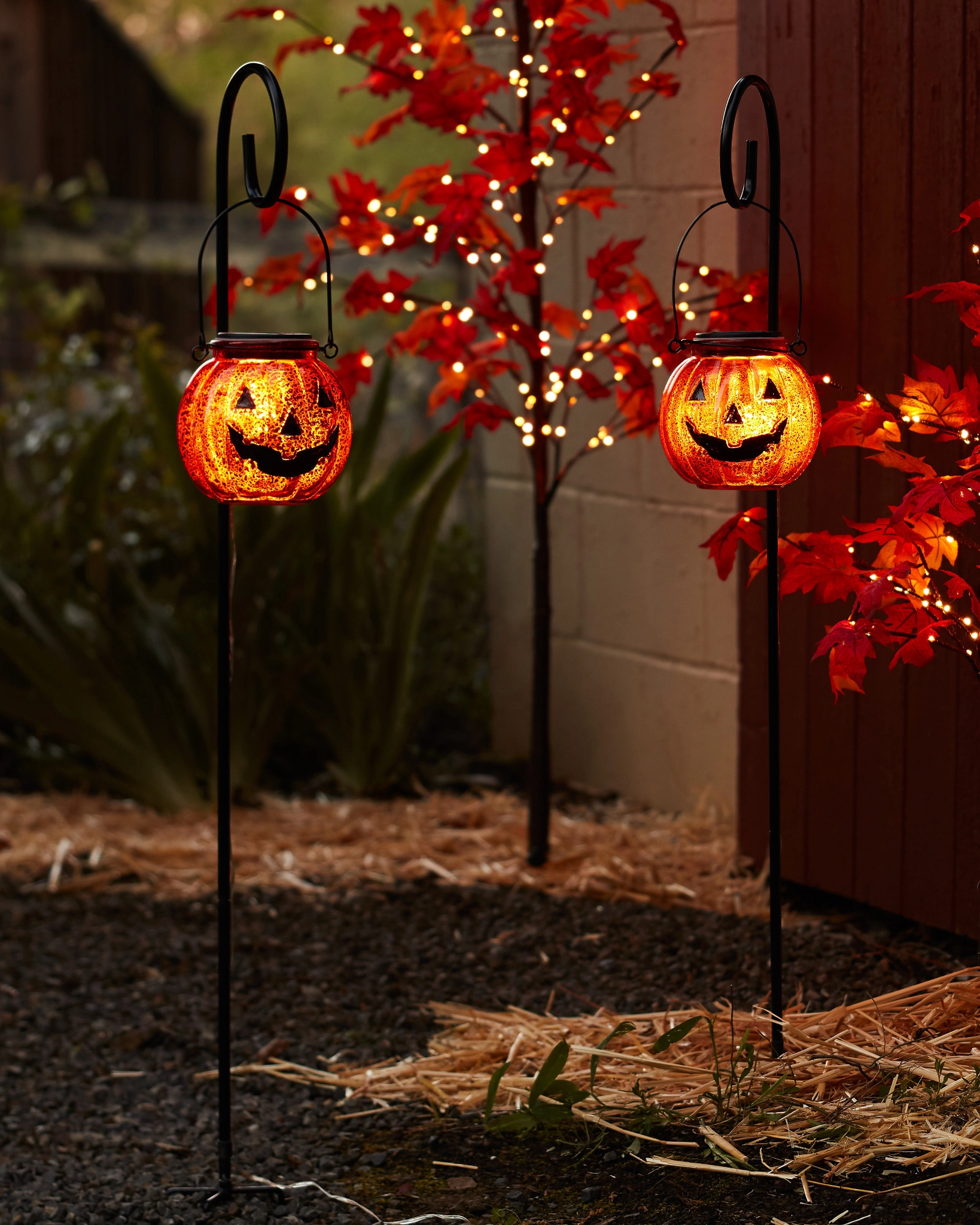 Halloween decorations/Balsam Hill's 30% Off Halloween Decor, image size:1638x2048