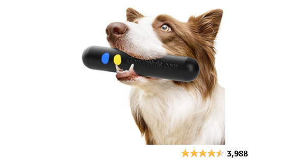 For The Dogs 🐾 cover photo collage