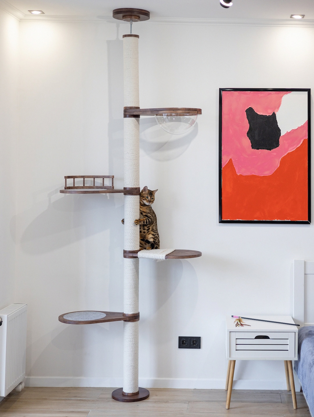 Cat Owner's Must-Haves cover photo collage