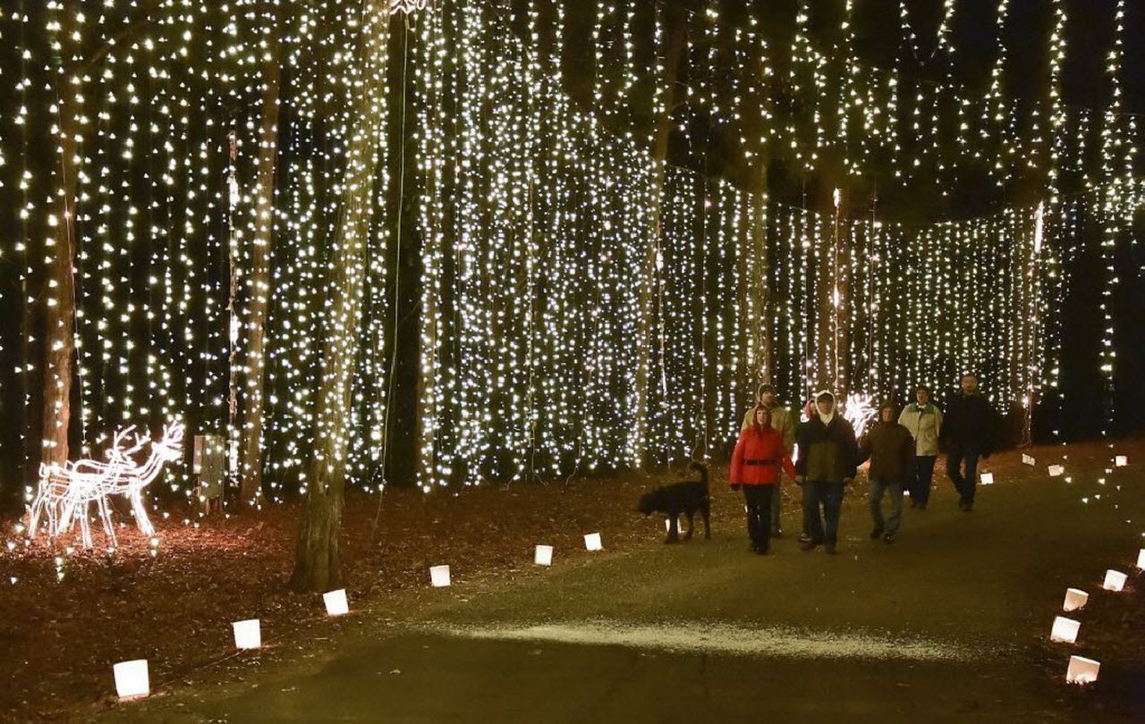 My Family's Favorite Holiday Traditions cover photo collage