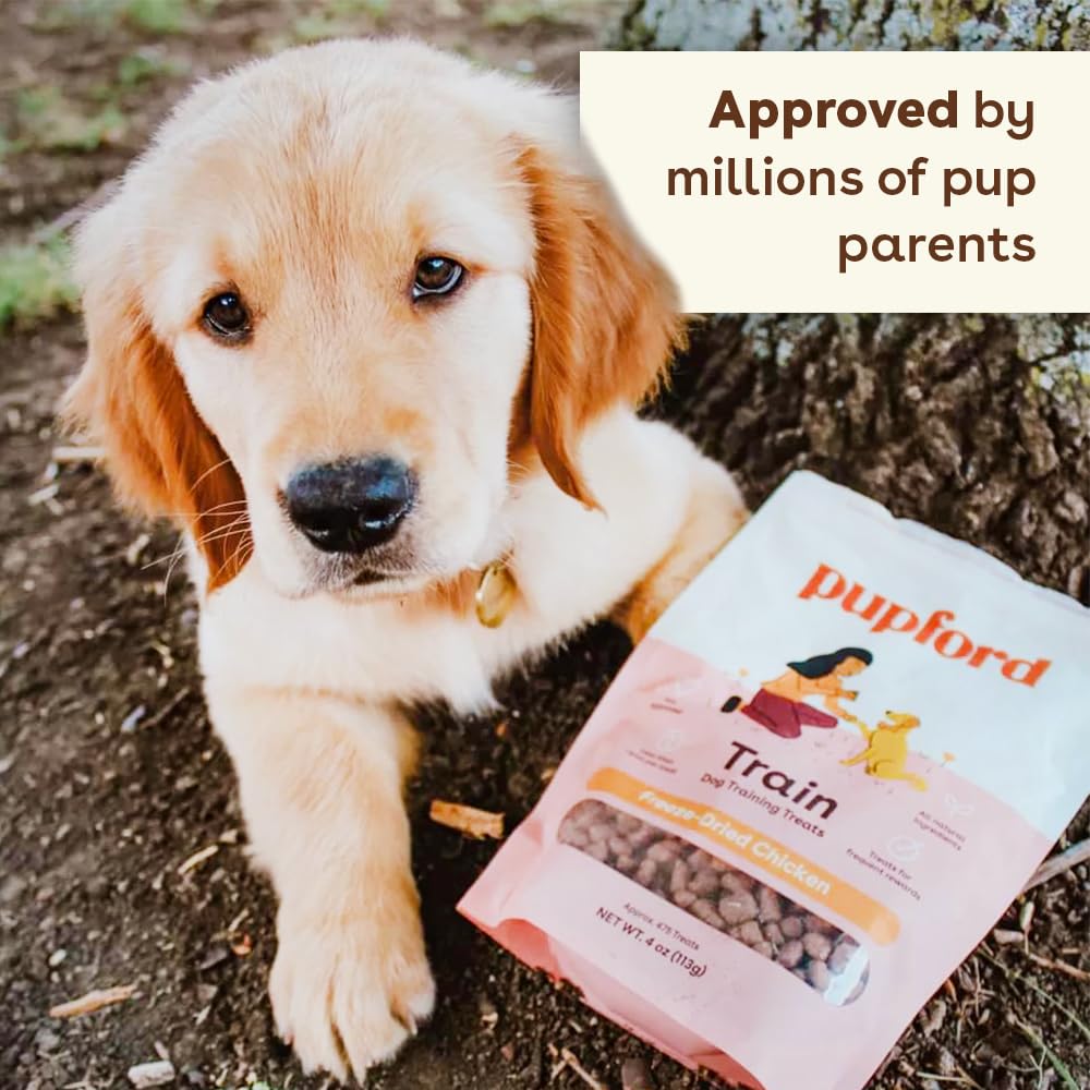 Pet Essentials For Our Furry Friends cover photo collage