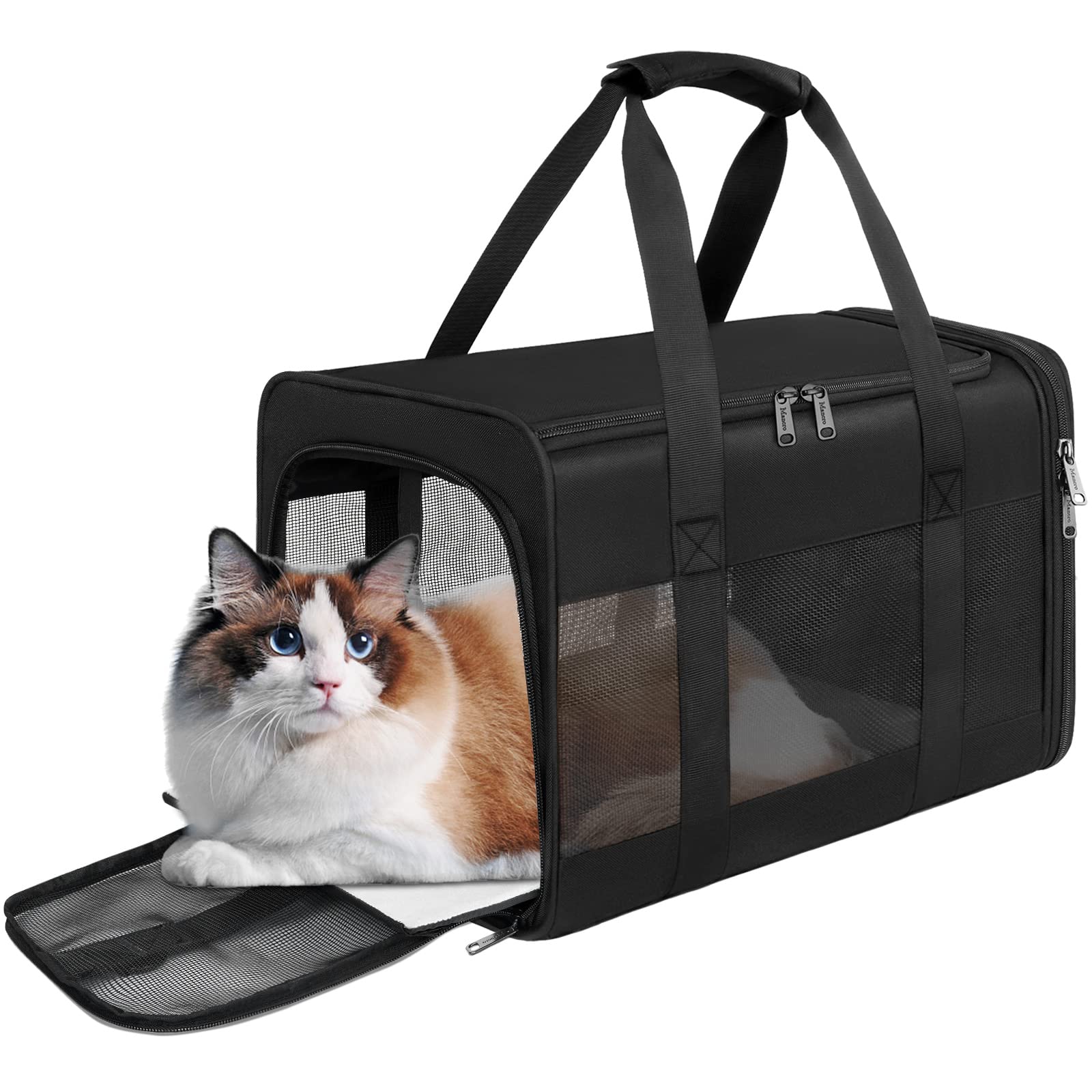 Cat supplies 🐈‍⬛ cover photo collage