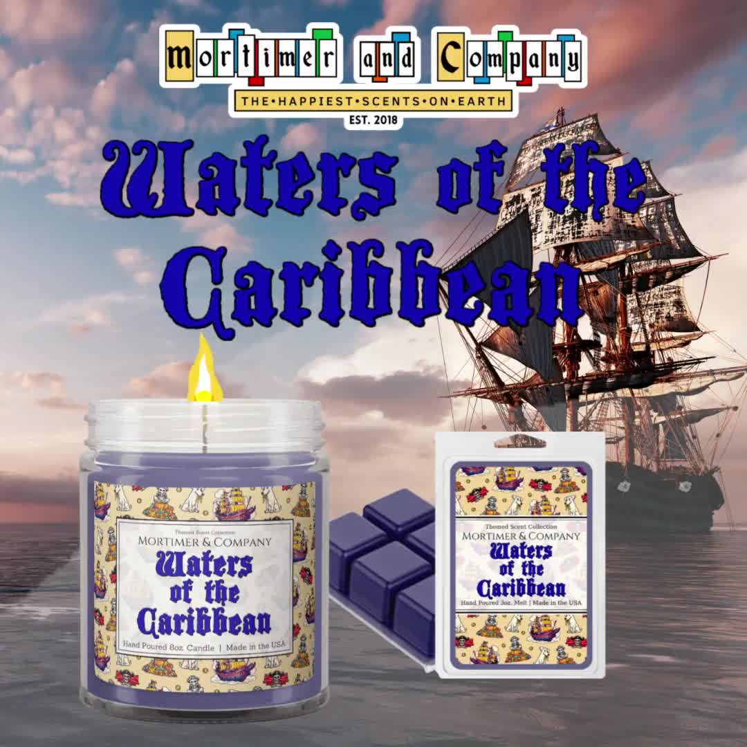 Disney Moments cover photo collage