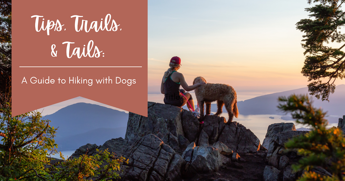 Hiking with your Dogs cover photo collage