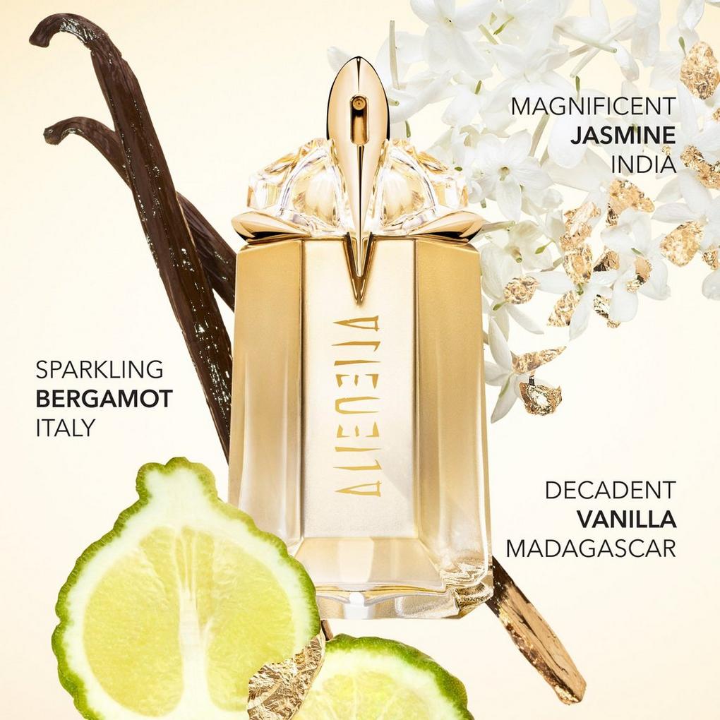 Favourite Scents cover photo collage