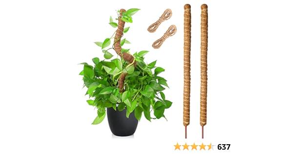 Plant Parent cover photo collage