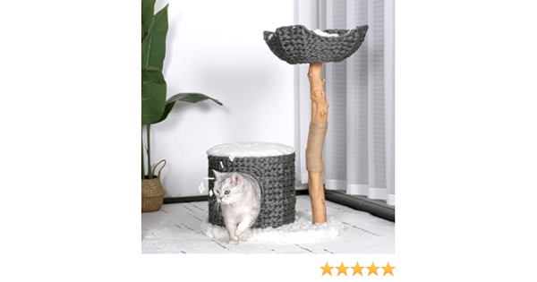 All things pets cover photo collage