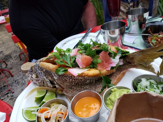 Dog Friendly Recommendations: Restaurants, Hotels & Other Fun Spots cover photo collage